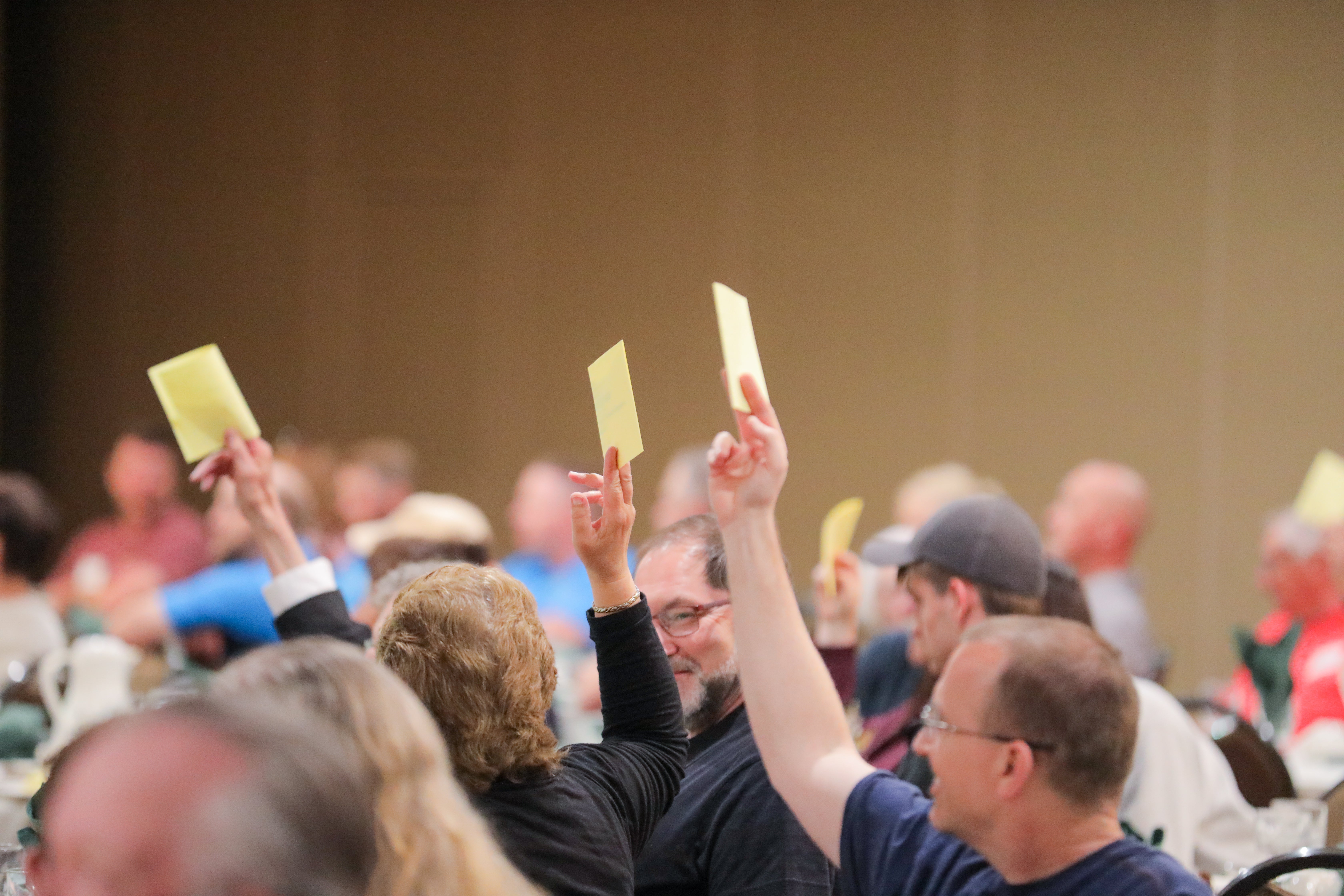 Annual Meeting Voting